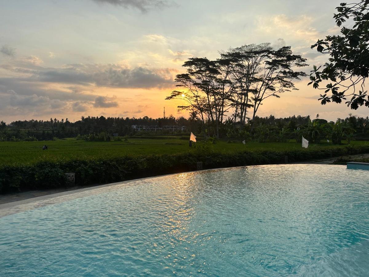 Griya Kcb Villa Ubud Exteriér fotografie
