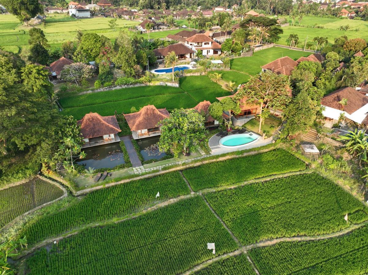 Griya Kcb Villa Ubud Exteriér fotografie