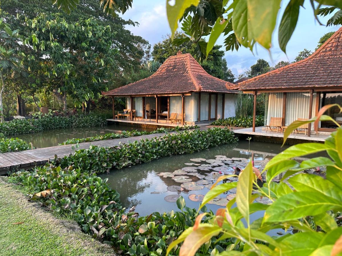 Griya Kcb Villa Ubud Exteriér fotografie