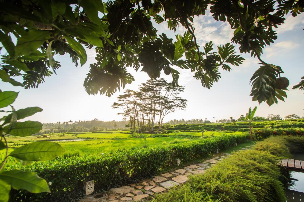 Griya Kcb Villa Ubud Exteriér fotografie
