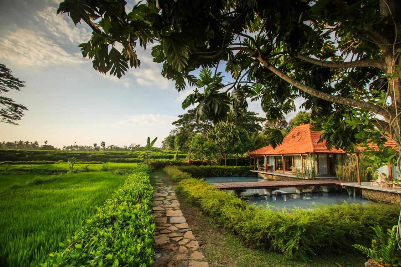 Griya Kcb Villa Ubud Exteriér fotografie