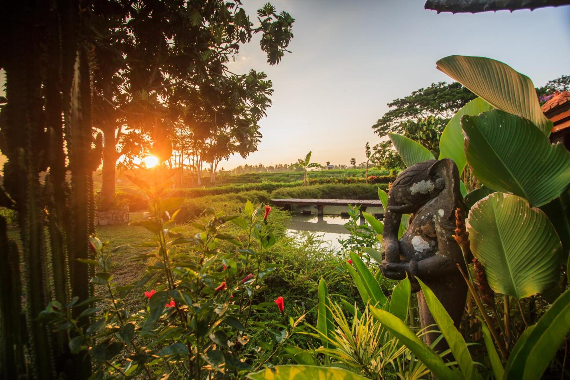 Griya Kcb Villa Ubud Exteriér fotografie