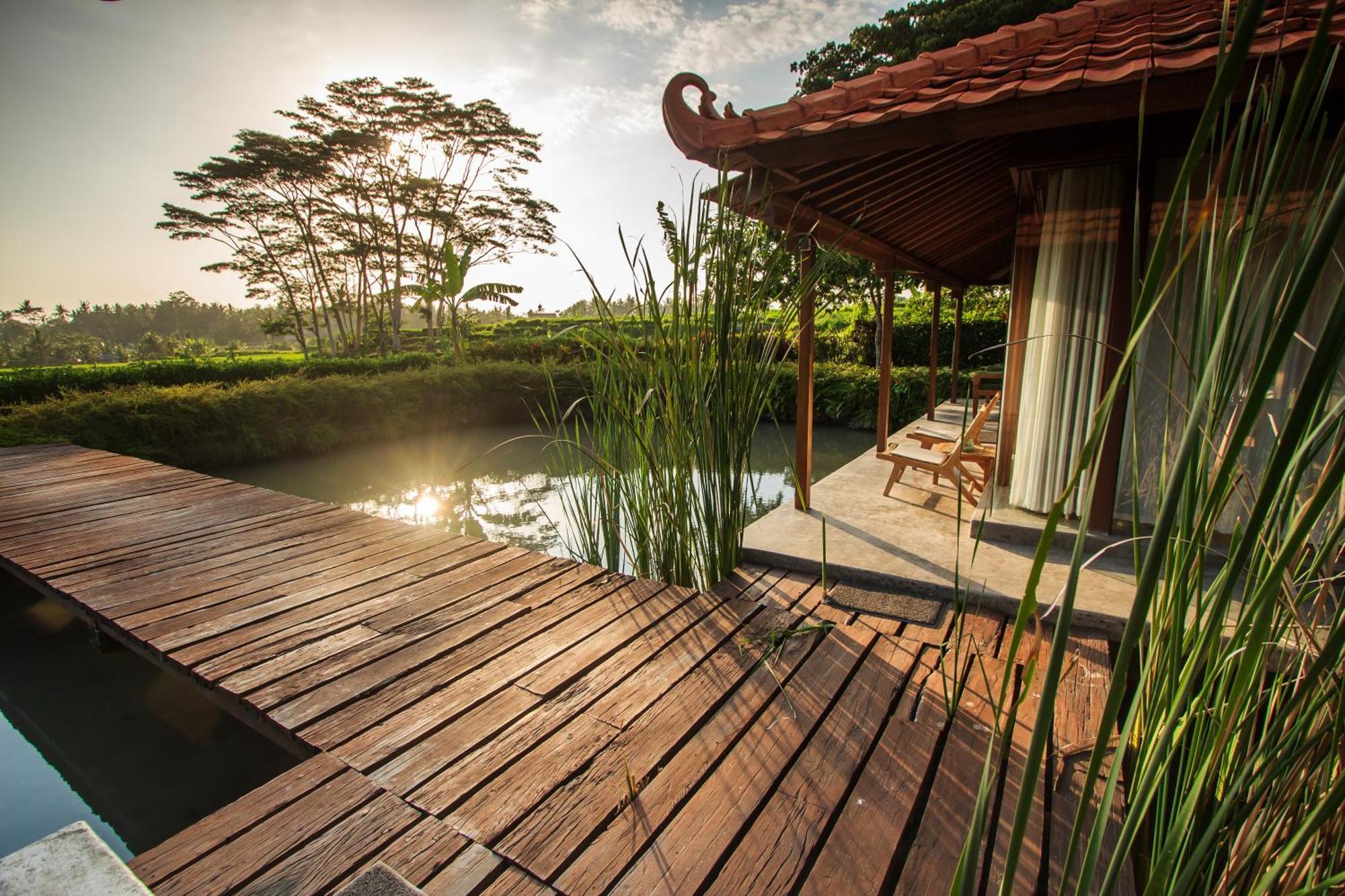 Griya Kcb Villa Ubud Exteriér fotografie